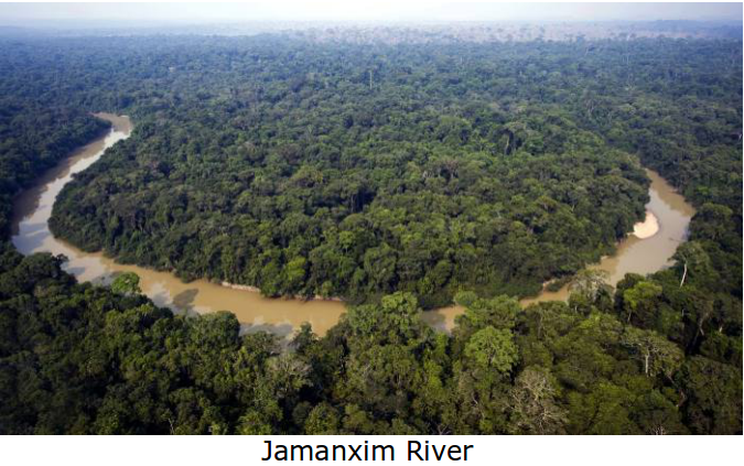 Amazon Rainforest Under Siege by Michel Temur, Corrupt Installed President of Brazil