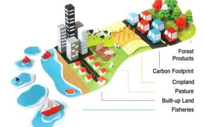 Earth Overshoot Day, Overconsumption, and Planetary Boundaries